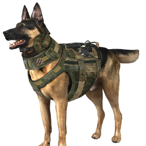 Riley Ghosts Call Of Duty Wiki Fandom