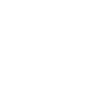Center Mass Weapon Perk icon WWII.png