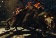 Hellhound in Black Ops III.