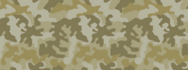Weapon camo menu desert