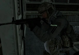 Mccoy MW3