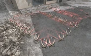 Multiple Claymores COD4.png (3 MB) Multiple claymores deployed via player sustain_ammo 1