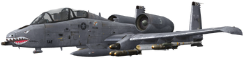 A-10 Thunderbolt II model CoDG