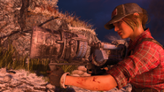 Third-person view