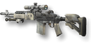 M14 EBR Unscoped
