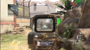 EOTech Sight with Paladin