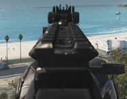 Iron sights of the Goliath variant