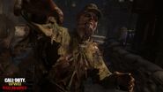 More zombies in The Final Reich.