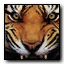 Tiger emblem MW2.png