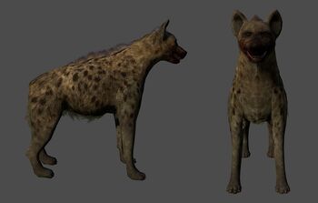 Hyenay