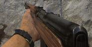 The SVT-40 in first person.