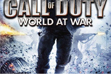 Call of duty world at best sale war ds