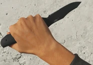Inspecting the Knife.