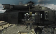 Riot Shield Squad roping in Fallen MW3.png (1.75 MB) Roping in from the Black Hawk.