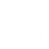 Engineer Perk Icon CODV.png