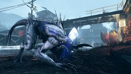 Phantoms