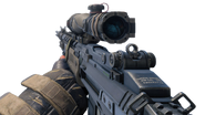 The SDM in first person