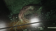 A zombie shark in Advanced Warfare