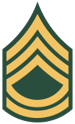 US Army OR-6.png