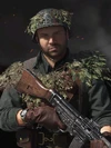 Roland Spruce Skin CODV