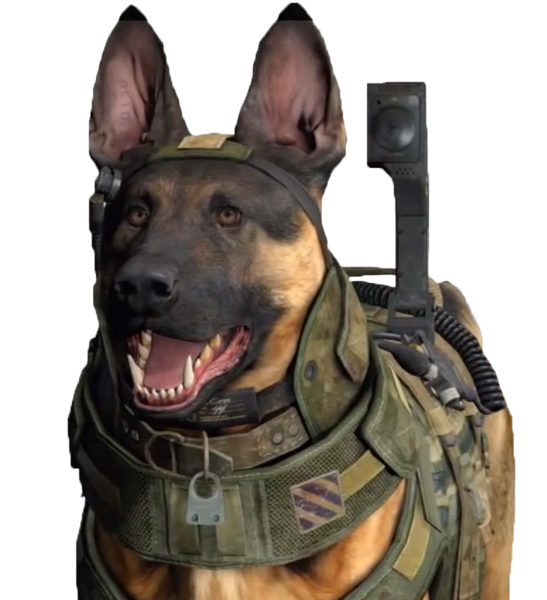 Call dog. Собака из Call of Duty. Райли собака. Псина мемы. Собака с пистолетом Мем.