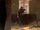 GIGN soldier holding the FAMAS MW3.png