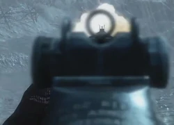 Aiming down the sights