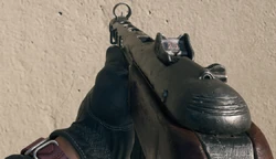 The PPSh-41 in first person.