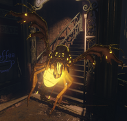 Parasite