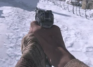 Klauser VG.png (753 KB) The Klauser in first person.