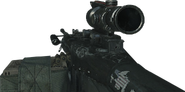 ACOG Scope