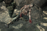Woods POW Rescue BOII.png