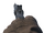 .44 Magnum MWR.png