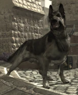 Dog in Coup.png (539 КБ) В миссии Переворот