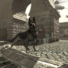 Dog Animal Call Of Duty Wiki Fandom
