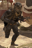 SDC soldier with HAMR in Mirage.