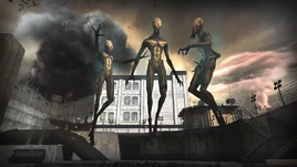 Timing is Everything CoDG