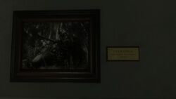 World at War Picture U.S.D.D. 2.jpg