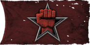 Spetsnaz flag BO