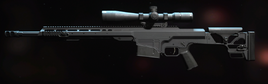 MCPR 300 Gunsmith MWII