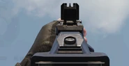 Aiming down the sights