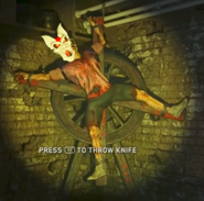 The Talisman Mask found in the Throwing Knife minigame on Rave in the Redwoods.