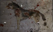 A Hellhound poster seen in Der Riese and Kino der Toten.