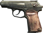 Third person view of the Makarov.