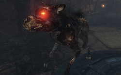 Hellhound | Call of Duty Wiki | Fandom