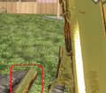 Picture of the SPAS-12 with golden cartridge