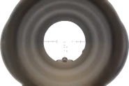 ACOG Scope ADS MWR.png (666 KB) Aiming down the ACOG Scope.