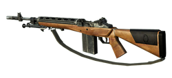 Render of the M14