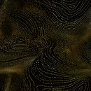 FullShields Camo Icon MWIII