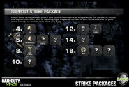 The Support Strike Package Combat Card.